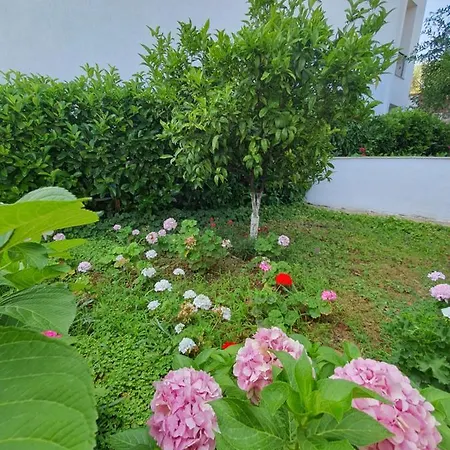 S.e.a. بيت ضيافة